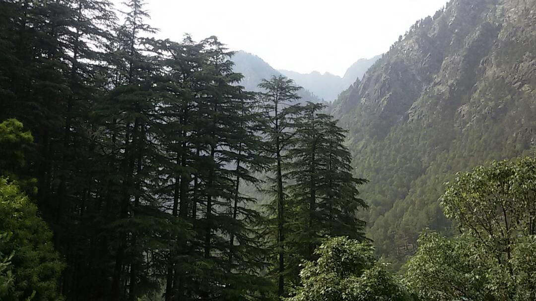 Hotel Deep Forest Kasol Buitenkant foto